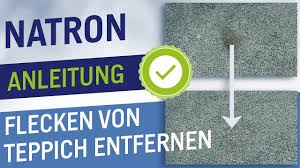 Teppichversand24 bietet viele designerteppiche, kinderteppiche,markenteppiche,orientteppiche,gabbeh teppiche und velourteppiche in vielen. Mit Natron Den Teppich Reinigen Tipps Flecken Von Teppich Entfernen Youtube