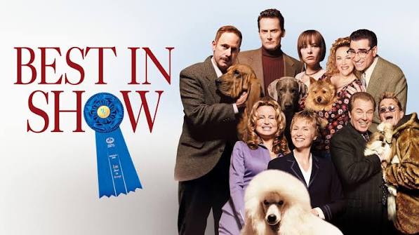 Watch Best in Show | HBO Max