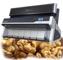 CCD Almond Sorting Machines - Precision & Efficiency