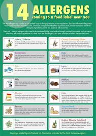 A3 420x297mm The 14 Allergens Poster Amazon Co Uk