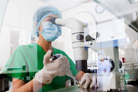 Check spelling or type a new query. Second Man Dies Of Bubonic Plague As Us State Confirms Second Case Of Deadly Disease Chronicle Live
