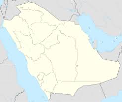 Medina danielle oona valbak (born andrea fuentealba valbak; Medina Wikipedia