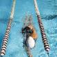 Swim & Dive: Girls Varsity  vs. AustinFaribault event image
