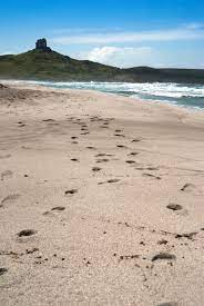 Durante il periodo romano, la baia tra la chiesa e la torre era il porto la chiesetta, dedicata a san giovanni, si trova direttamente sulla spiaggia e, dall'esterno, è una delle. San Giovanni Di Sinis Sardegnaturismo Sito Ufficiale Del Turismo Della Regione Sardegna