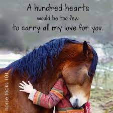 Embrace your freedom and unleash your passion through some of the most famous and inspirational horse quotes and sayings. Beautiful Main And Fore Great Shape In The Head Trained Well Ill Take Him Horse Lover Quote Horse Quotes Inspirational Horse Quotes
