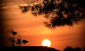 Red Dusk sunset with trees image - Free stock photo - Public ...