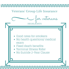 Maybe you would like to learn more about one of these? Veterans Group Life Insurance Company Review Https Www Insurechance Com