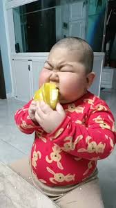 Delicious Lotus Root Starch Diet Meal