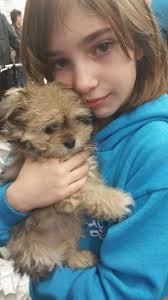 Thank you Saap for the 2 years with our furry family member