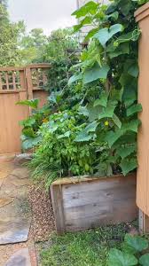 Marion Compton (marioncompton16)