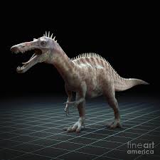 Image result for Suchomimus