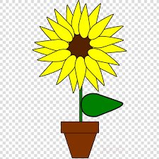 Bunga matahari adalah salah satu pilihan terbaik jika kamu ingin menghadirkan suasana yang membuat halaman terkesan lebih ceria. Animasi Bunga Matahari Clipart Common Sunflower Clip Bunga Animasi Dalam Pot Transparent Png Free Download On Tpng Net