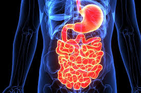 Image result for thin ribbon stools human poop