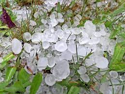 Für solche personen hat sie schnitte, quetschungen und verbrennungen zur folge wie der „hagel, und feuer, mitten im hagel sich ineinander. Hagel So Gross Wie Tennisballe Autoscheiben Und Dachfenster Zerstort Zwei Menschen Verletzt