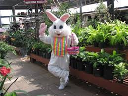 Maybe you would like to learn more about one of these? Garden Nursery Flamingo Road Nursery Davie Fl Flamingo Road Nursery