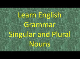 Nouns ending with s, ss, z, zz, x, ch, sh, and tch are made plural by adding es to the singular form: Singular And Plural Nouns Lesson 1 Learn English Online Youtube