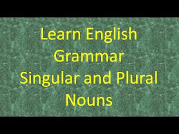 There are hundreds of irregular plural nouns, and in truth, you must memorize them through reading and speaking. Singular And Plural Nouns Lesson 1 Learn English Online Youtube