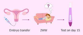 Symptoms After Embryo Transfer Most Common Positive Signs