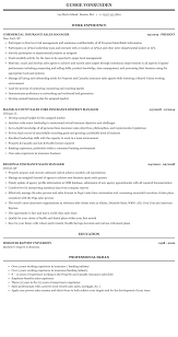 Manager life insurance sales support resume examples & samples. Insurance Sales Manager Resume Sample Mintresume