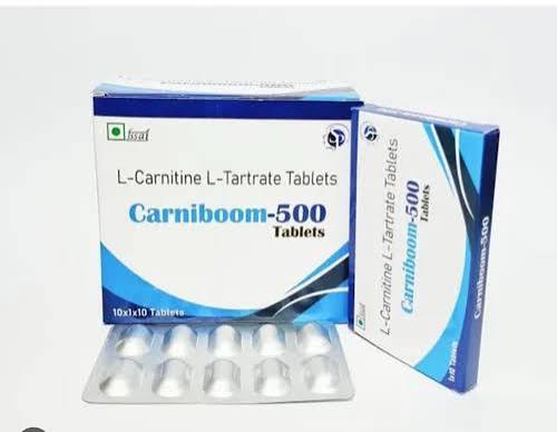 L Carnitine 500 Mg Tablets at ₹ 250/stripe | L-Carnitine Tablet in Nagpur | ID: 2853186936412