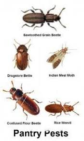 From the moment i walked in to the moment i left, i. Bug Depot Do It Yourself Pest Control Home Facebook