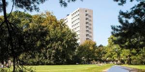 It focuses not only on technical mastery of the tax laws but also on wider issues of tax and fiscal policy. Best Llm Tax Programs In The World College Learners