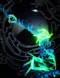 There are no approved quotes yet for this movie. Quadruple Helix Dna Formation Tracked In Live Human Cells For The First Time