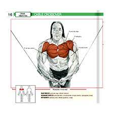 Check spelling or type a new query. Gym Equipment Names With Pictures Descriptions In 2021 Gym Equipment Names Gym Equipment Guide At Home Gym