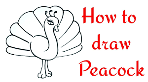 What's the best way to draw a bird? How To Draw A Peacock Step By Step In Easy Method Drawing For Children Toddlers Learning Youtube