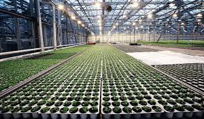 How do we feed the exploding world population while simultaneously providing employment opportunities and improving our how do we enhance the quality of life of the farmers? Can Agribusiness Reinvent Itself To Capture The Future Bain Company