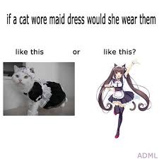 If they don't get this, they may suffer from depression and even act out. Dog Wearing Pants Memes