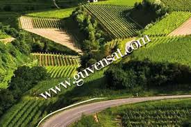 Su hayattır sözü aklınızda tutmanız gereken en önemli konudur. Tarla Ve Bahce Arasindaki Fark Nedir Tarla Ve Bahce Uzerine Ev Insa Edilebilir Mi Guvensat