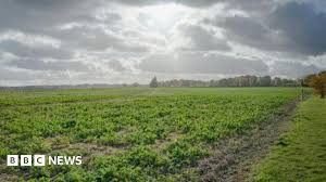 Carleen ceraldi così fantastico influecerdellamodaitaliana