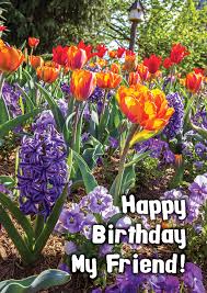 Whether your birthday flower delivery is sent to the home or office, you can be sure it will be received with a smile. Mixed Tulip Flowers Nature Inspirational Photo Greeting Cards With Text Happy Birthday Vertical Design Of Grace