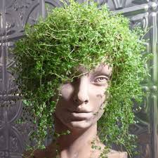 The REAL BVI Community Board