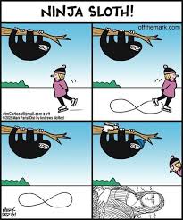 Some people get Ninja Sloth, some only get confused ...