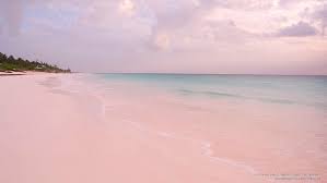 We did not find results for: Pink Beach 1080p 2k 4k 5k Hd Wallpapers Free Download Wallpaper Flare