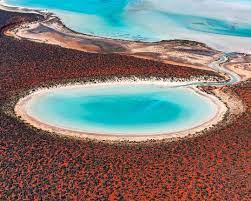 () western australia is a land of superlatives and extremes. Western Australia On Twitter Western Australia Where The Desert Meets The Sea Tim Wrate Via Ig In Sharkbay Thecoralcoast Justanotherdayinwa Https T Co Rme7y3jbpg