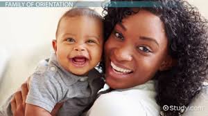 Family Of Procreation Definition Example Video Lesson Youtube