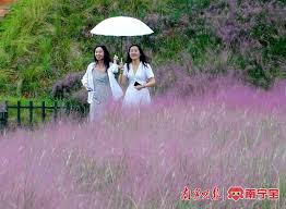 中秋国庆“双节合一”带来8天长假，你想好去哪玩了吗？_中国南宁