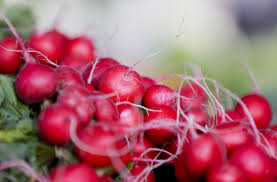 Save big on your garden budget, and start your seeds indoors about 8 weeks prior to planting day. Master Gardener Ready To Start Growing Vegetables Start Seeds Indoors Home Garden Tulsaworld Com