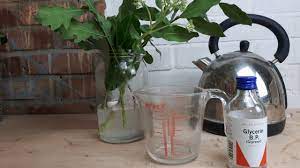 How to preserve flowers with glycerin. How To Preserve Your Greenery With Glycerine Julie Davies Flower Workshops