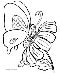 Search images from huge database containing over you can print or color them online at getdrawings.com for absolutely free. Butterfly Coloring Pages Sheets And Pictures