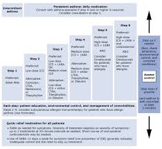 An asthma action plan may also be called an asthma management plan. Asthma Clinical Manifestations And Management Pulmonology Advisor