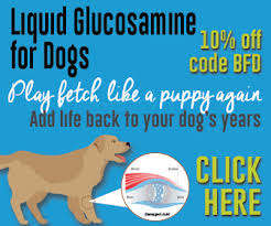 Benadryl For Dogs Is Full Of Tips On Safely Using Benadryl