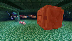 24 27 24 12 25. Axolotl Official Minecraft Wiki