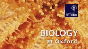 Biology Sciences