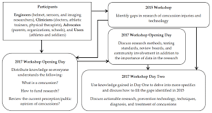 Flow Chart Displaying The Structure Of The Workshop