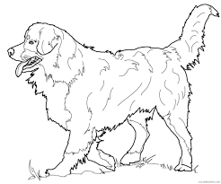 Realistic dog coloring pages are a fun way for kids of all ages to develop creativity, focus, motor skills and color recognition. Adult Dog Coloring Pages Realistic Dog For Adults Printable 2020 238 Coloring4free Coloring4free Com