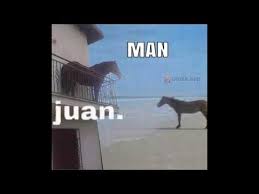 Check spelling or type a new query. Juan Is Watching You Man Juan Horse On Balcony Know Your Meme